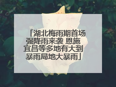 湖北梅雨期首场强降雨来袭 恩施宜昌等多地有大到暴雨局地大暴雨