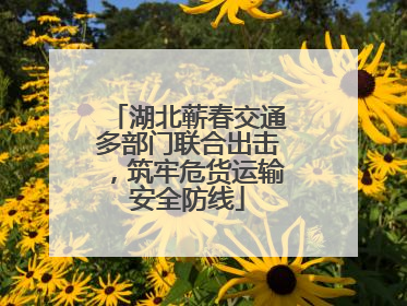 湖北蕲春交通多部门联合出击，筑牢危货运输安全防线