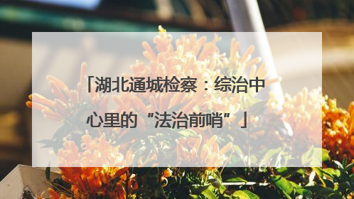 湖北通城检察：综治中心里的“法治前哨”