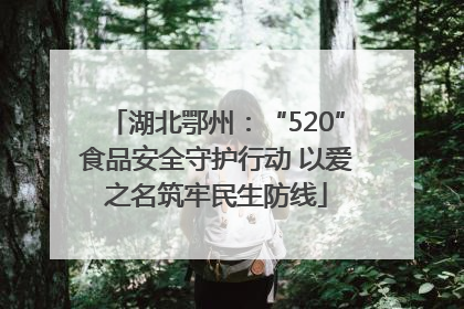 湖北鄂州：“520”食品安全守护行动 以爱之名筑牢民生防线
