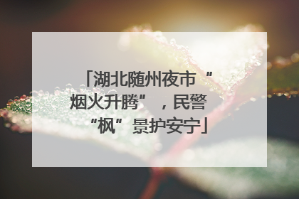 湖北随州夜市“烟火升腾”，民警“枫”景护安宁