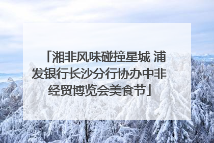 湘非风味碰撞星城 浦发银行长沙分行协办中非经贸博览会美食节