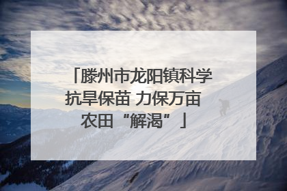 滕州市龙阳镇科学抗旱保苗 力保万亩农田“解渴”