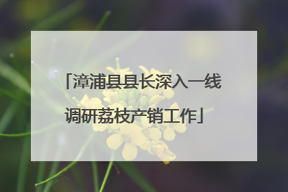 漳浦县县长深入一线调研荔枝产销工作