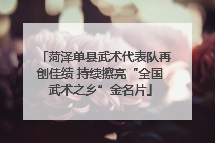 菏泽单县武术代表队再创佳绩 持续擦亮“全国武术之乡”金名片