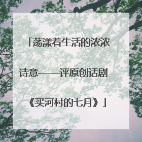 荡漾着生活的浓浓诗意——评原创话剧《买河村的七月》