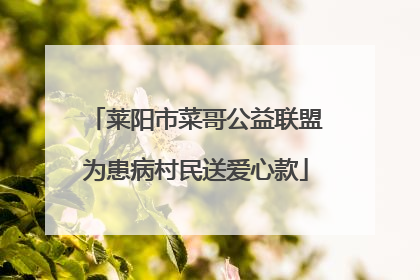 莱阳市菜哥公益联盟为患病村民送爱心款
