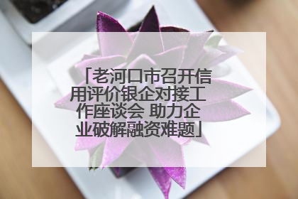 老河口市召开信用评价银企对接工作座谈会 助力企业破解融资难题