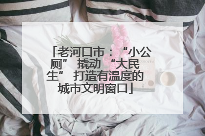 老河口市：“小公厕” 撬动 “大民生” 打造有温度的城市文明窗口