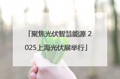 聚焦光伏智慧能源 2025上海光伏展举行
