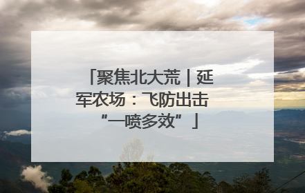 聚焦北大荒｜延军农场：飞防出击 “一喷多效”