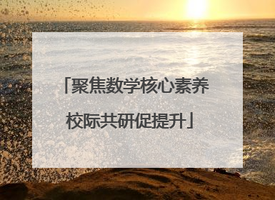 聚焦数学核心素养 校际共研促提升