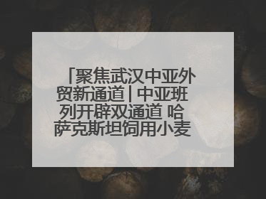 聚焦武汉中亚外贸新通道│中亚班列开辟双通道 哈萨克斯坦饲用小麦将抵鄂