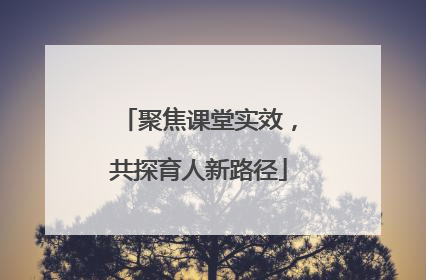 聚焦课堂实效，共探育人新路径