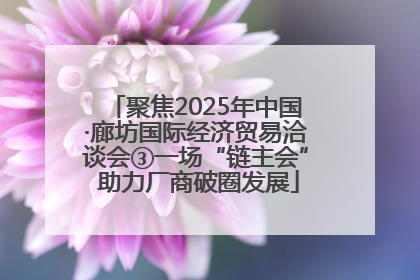 聚焦2025年中国·廊坊国际经济贸易洽谈会③一场“链主会” 助力厂商破圈发展