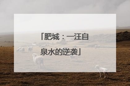 肥城：一汪自泉水的逆袭