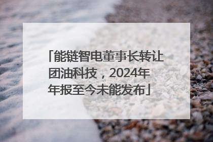 能链智电董事长转让团油科技，2024年年报至今未能发布