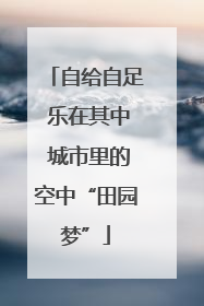 自给自足 乐在其中 城市里的空中“田园梦”