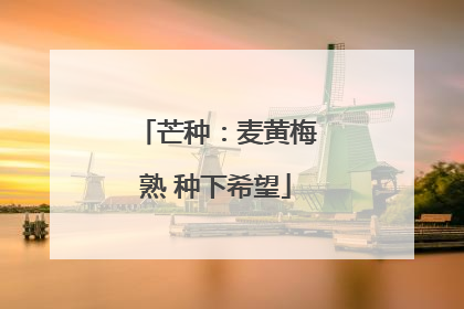芒种：麦黄梅熟 种下希望