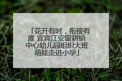 花开有时，衔接有度 宜宾江安留耕镇中心幼儿园组织大班萌娃走进小学