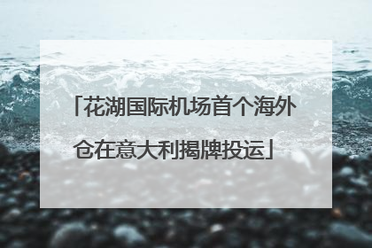花湖国际机场首个海外仓在意大利揭牌投运