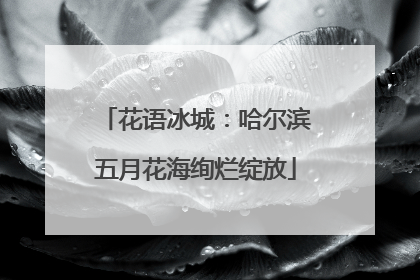 花语冰城：哈尔滨五月花海绚烂绽放