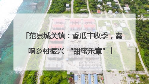 范县城关镇：香瓜丰收季，奏响乡村振兴 “甜蜜乐章”