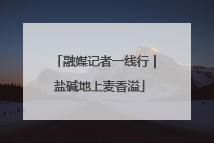 融媒记者一线行｜盐碱地上麦香溢