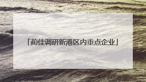 蔺佳调研新港区内重点企业