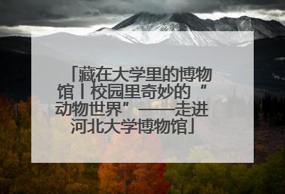 藏在大学里的博物馆丨校园里奇妙的“动物世界”——走进河北大学博物馆