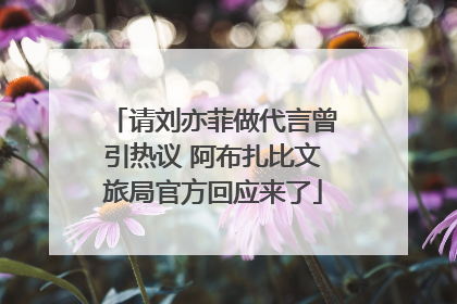 请刘亦菲做代言曾引热议 阿布扎比文旅局官方回应来了