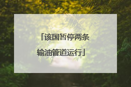 该国暂停两条输油管道运行