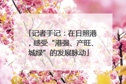 记者手记：在日照港，感受“港强、产旺、城绿”的发展脉动