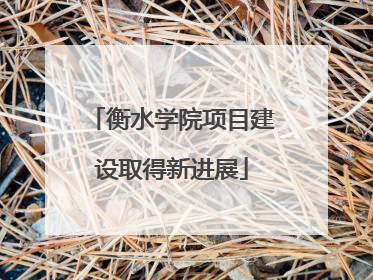 衡水学院项目建设取得新进展