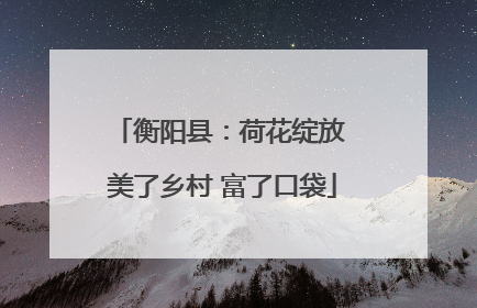 衡阳县：荷花绽放 美了乡村 富了口袋