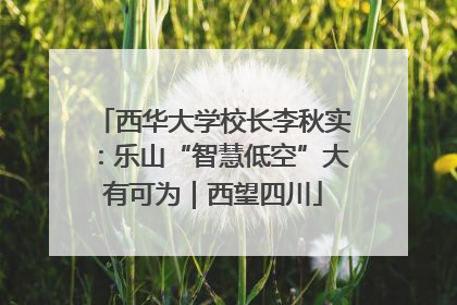 西华大学校长李秋实：乐山“智慧低空”大有可为｜西望四川