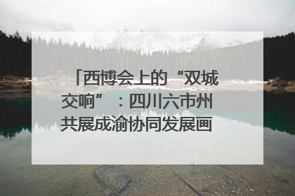西博会上的“双城交响”：四川六市州共展成渝协同发展画卷｜西博视界
