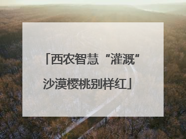 西农智慧“灌溉” 沙漠樱桃别样红
