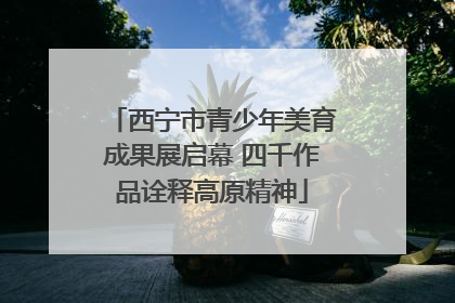 西宁市青少年美育成果展启幕 四千作品诠释高原精神