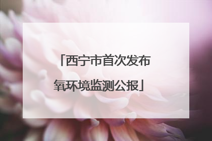 西宁市首次发布氧环境监测公报