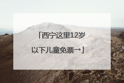 西宁这里12岁以下儿童免票→