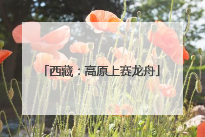 西藏：高原上赛龙舟