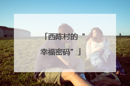 西陈村的“幸福密码”