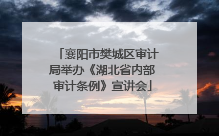 襄阳市樊城区审计局举办《湖北省内部审计条例》宣讲会