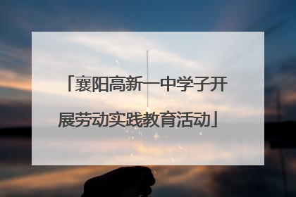 襄阳高新一中学子开展劳动实践教育活动