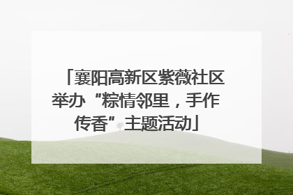 襄阳高新区紫薇社区举办“粽情邻里，手作传香”主题活动