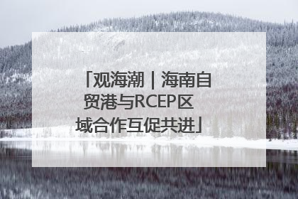 观海潮｜海南自贸港与RCEP区域合作互促共进