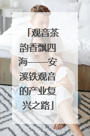 观音茶韵香飘四海——安溪铁观音的产业复兴之路