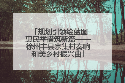 规划引领绘蓝图 惠民举措筑新篇——徐州丰县宗集村奏响和美乡村振兴曲