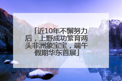近10年不懈努力后，上野成功繁育两头非洲象宝宝，端午假期华东首展